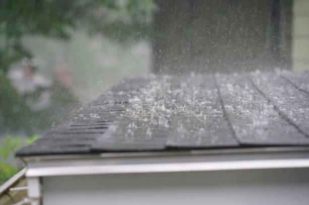 Best Sheet Metal Roofing  in Harrisburg, IL